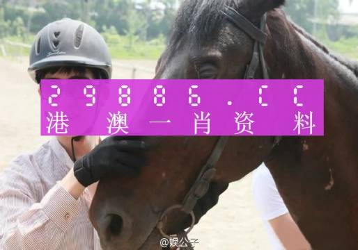 澳门和香港一肖一码一必中一肖同舟前进-精选解析、解释与落实