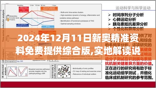 2025新澳精准正版免费大全-实用释义、解释与落实