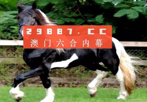 澳门和香港一肖一特一码一中-精选解析、解释与落实