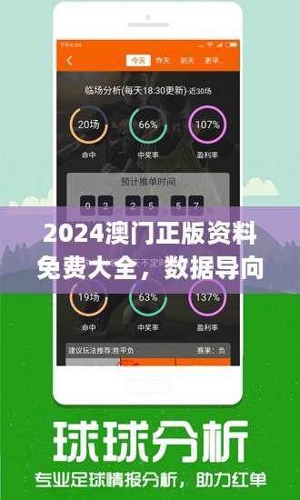 2025新澳门正版精准免费大全,和平解答解释与落实展望