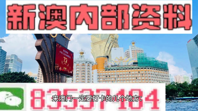 2025年新澳门正版精准免费大全,词语释义解释与落实展望