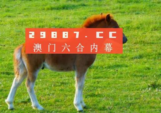 澳门和香港必开一肖一码一中,全面释义解释与落实展望