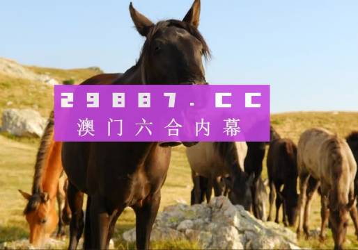 澳门和香港管家婆100%精准图片,全面释义解释与落实展望