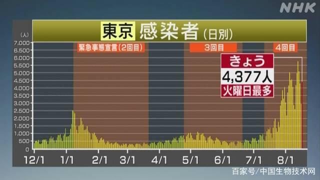 日本最新疫情报道今天