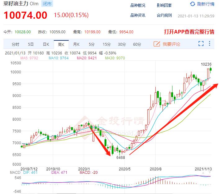 菜油最新价格金投网