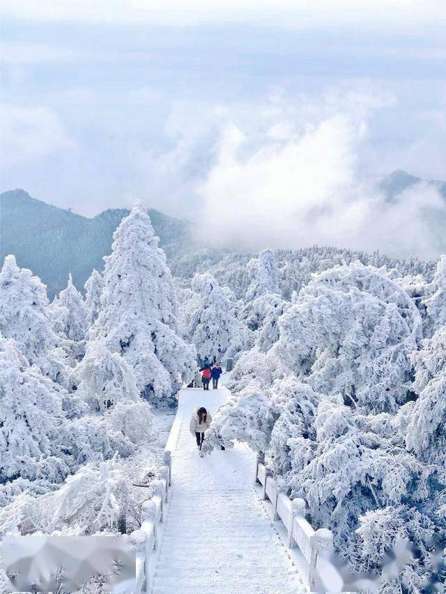 广东周边看雪最新