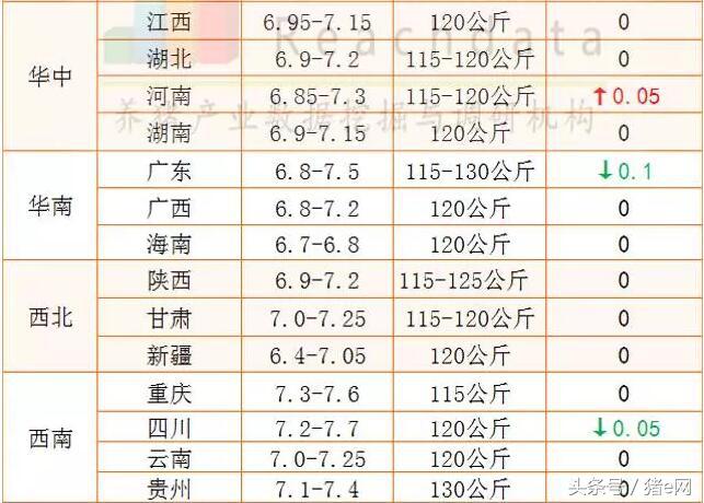 全国猪价最新11月